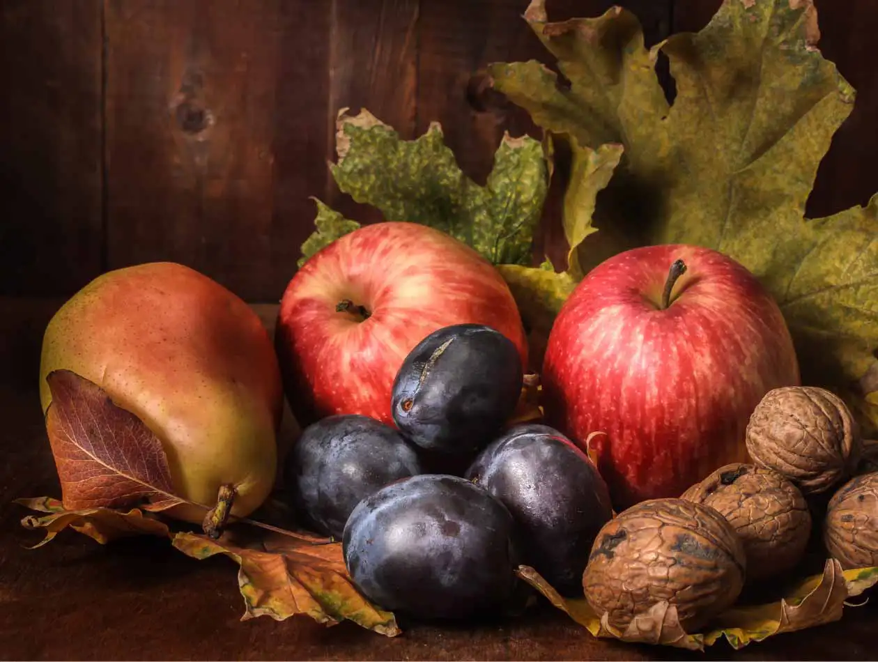 Obst als Hundefutter Äpfel, Birne, Pflaumen und Nüsse