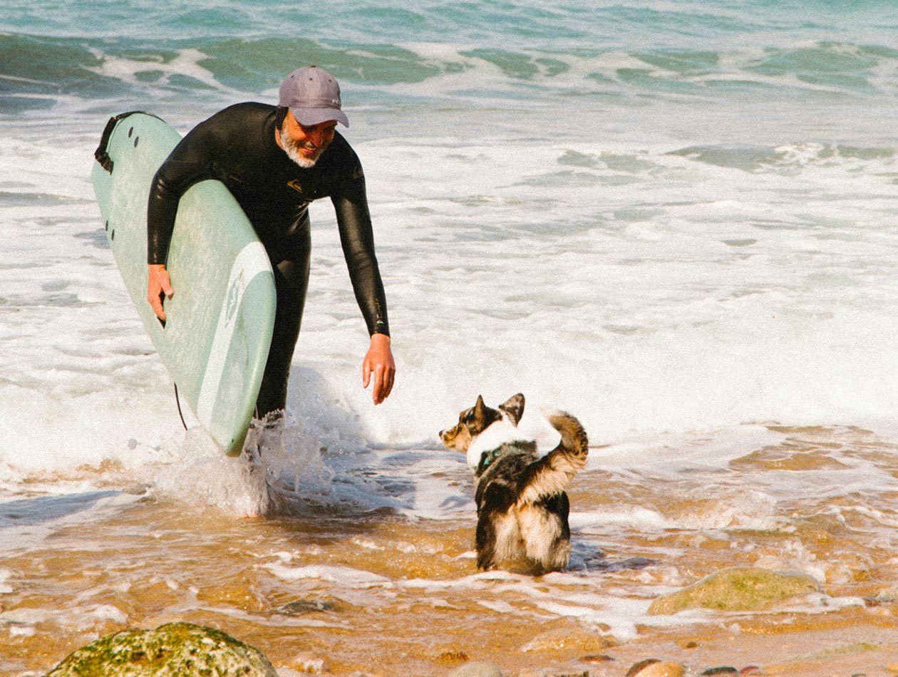 Mann mit weißem Bart kommt mit Surfbrett aus dem Wasser, wir von Hund begrüßt Mann mit weißem Bart kommt mit Surfbrett aus dem Wasser, wir von Hund begrüßt