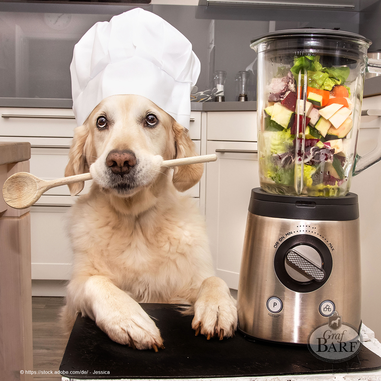 Graf Barf mit oder ohne Gemüse Hund mit Kochmütze und Kochlöffel im Maul neben einem Mixer