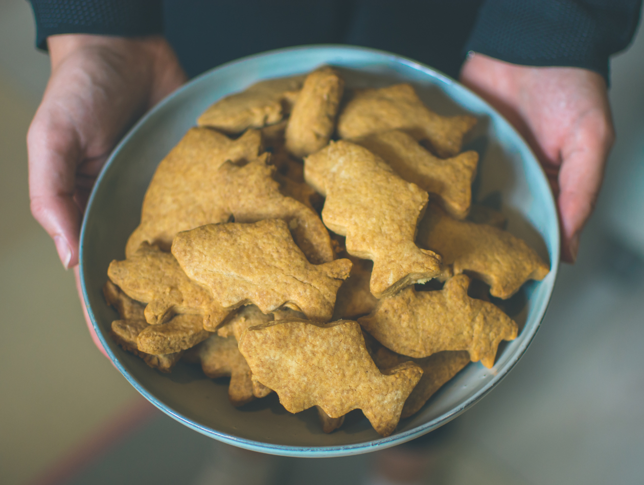 Hundekekse selbst gemacht: Einfache Rezepte für gesunde Leckerlis