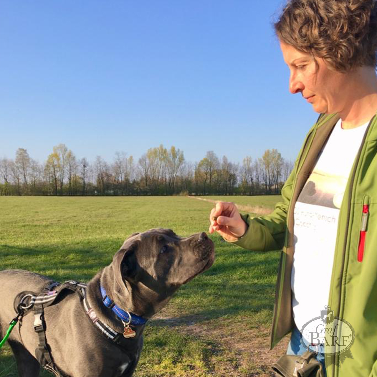 graf-barf-positives-markersignal Das Positive Abbruchsignal: Hundetraining leicht gemacht