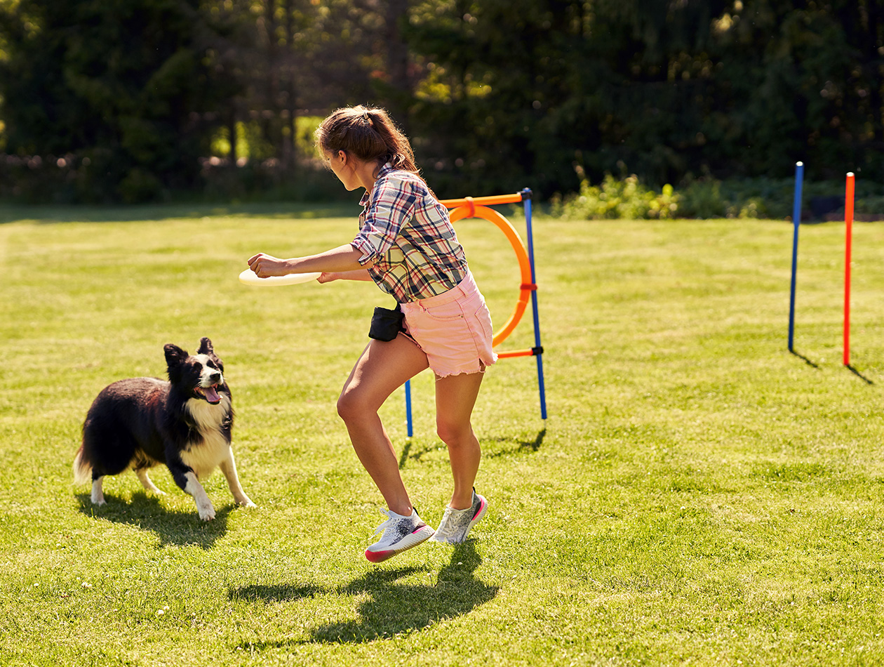 Agility mit Hund: So gelingt der Einstieg in den Hundesport