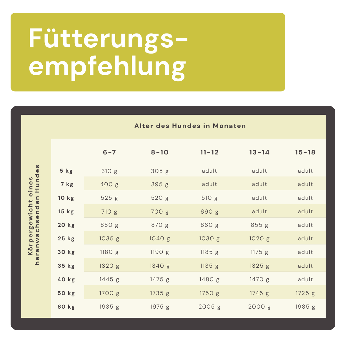 Juniormenü Rind stückig