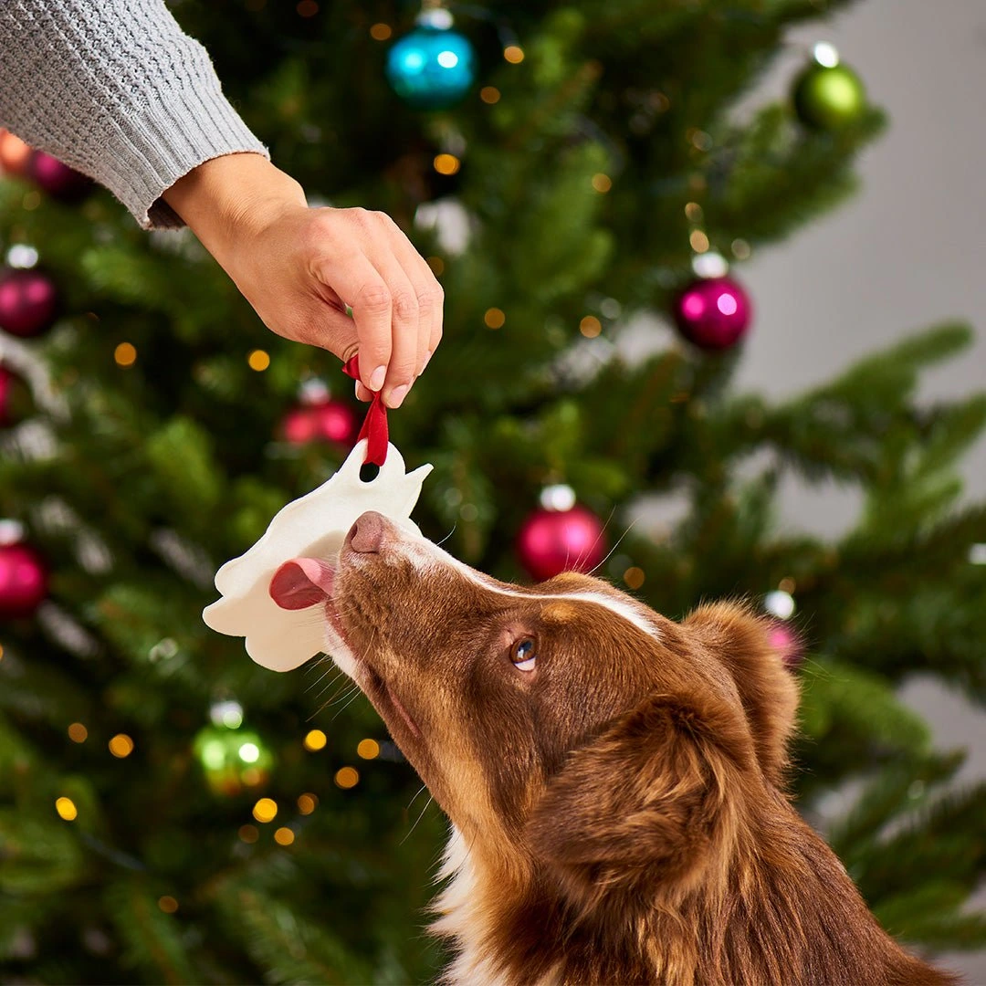 Graf BARF von Nutriment Lebkuchen fuer Hunde