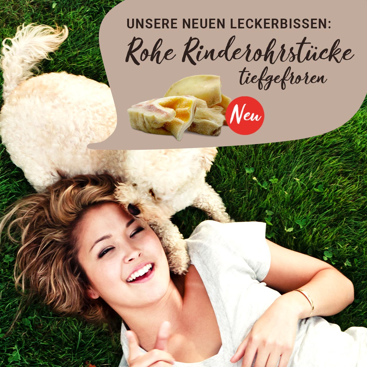 Graf Barf Rinderohrstücke Frau liegt mit kleinem weißen Hund auf einer Wiese