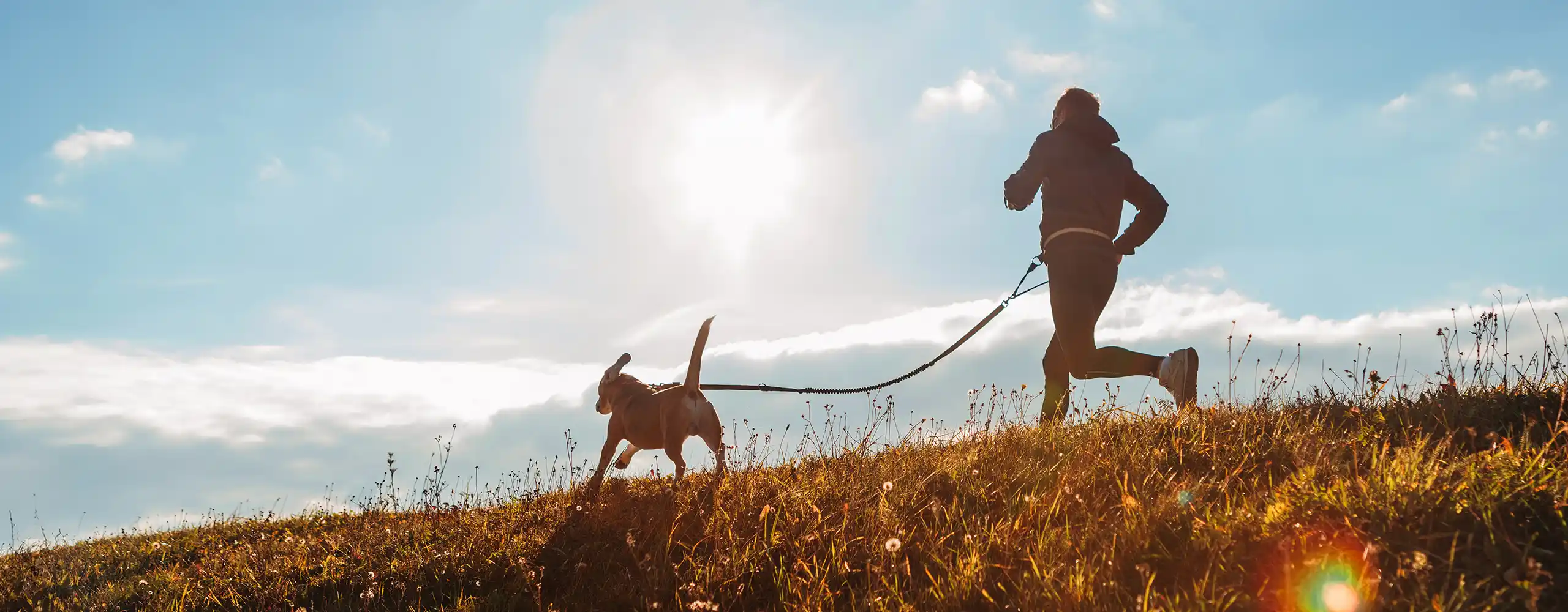 Joggen mit Hund