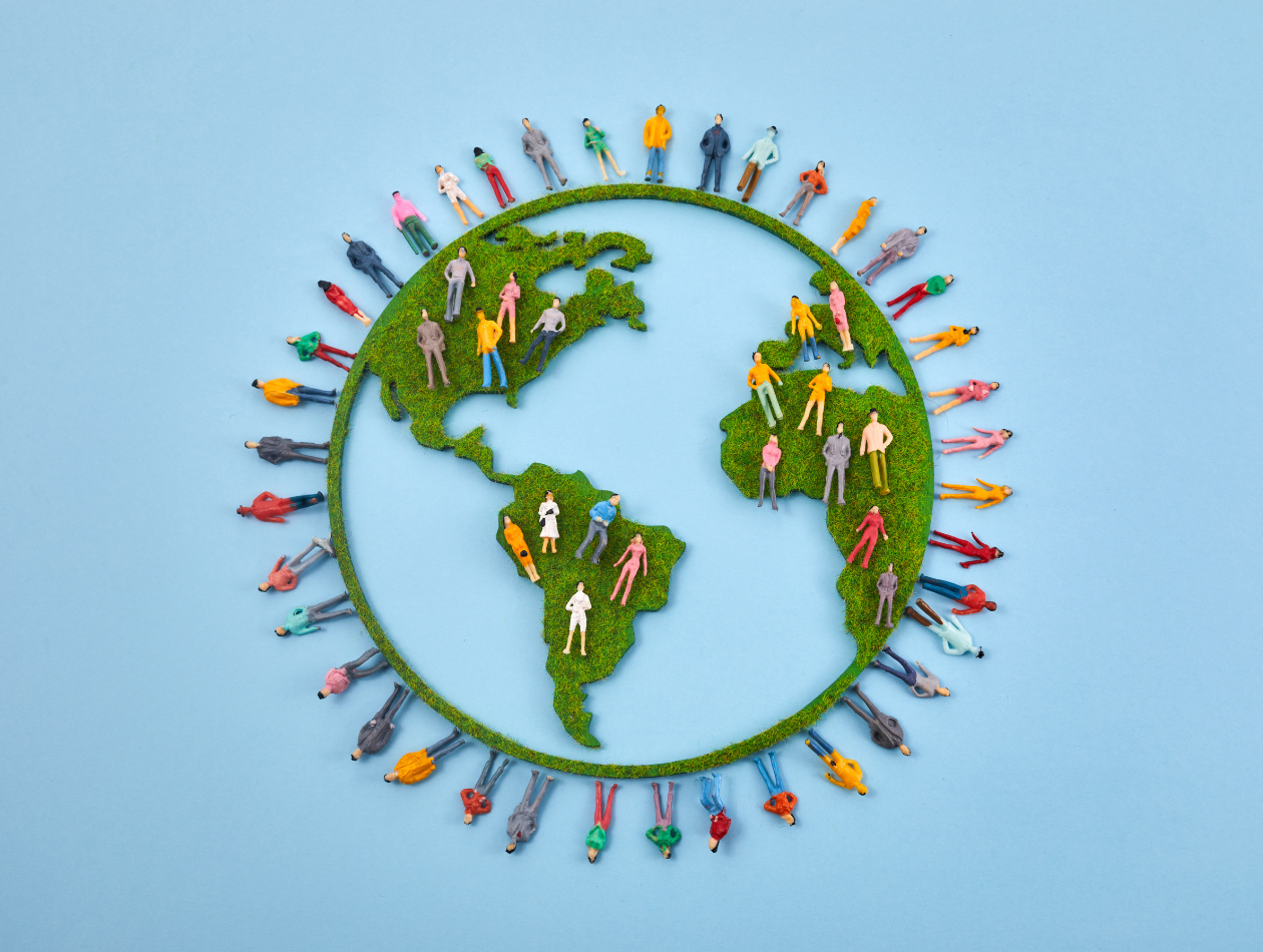 Umweltbewusst füttern: Wie nachhaltig ist BARF?