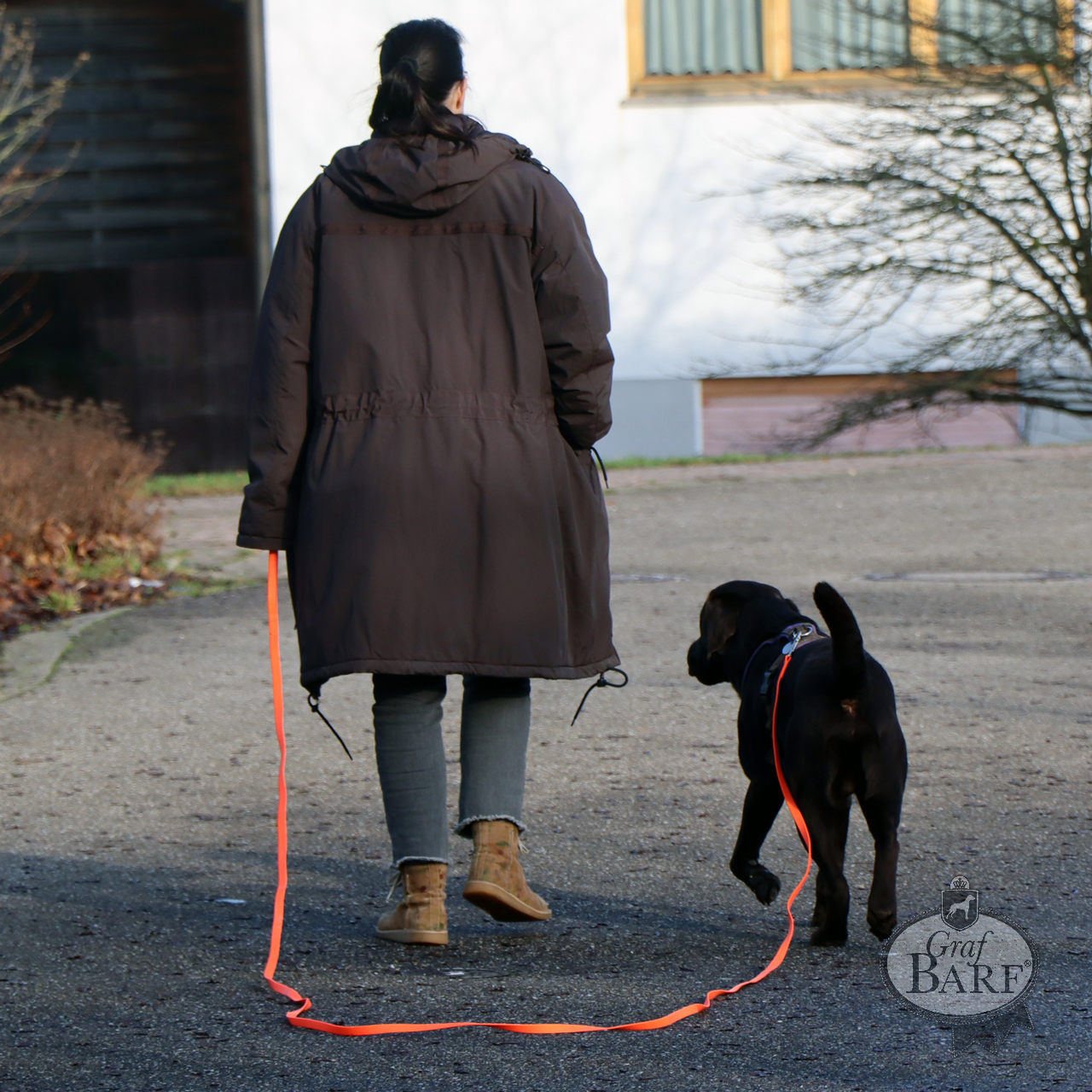 graf-barf-locker-an-der-leine-training-1 Nur ein Traum: Mein Hund läuft locker an der Leine?