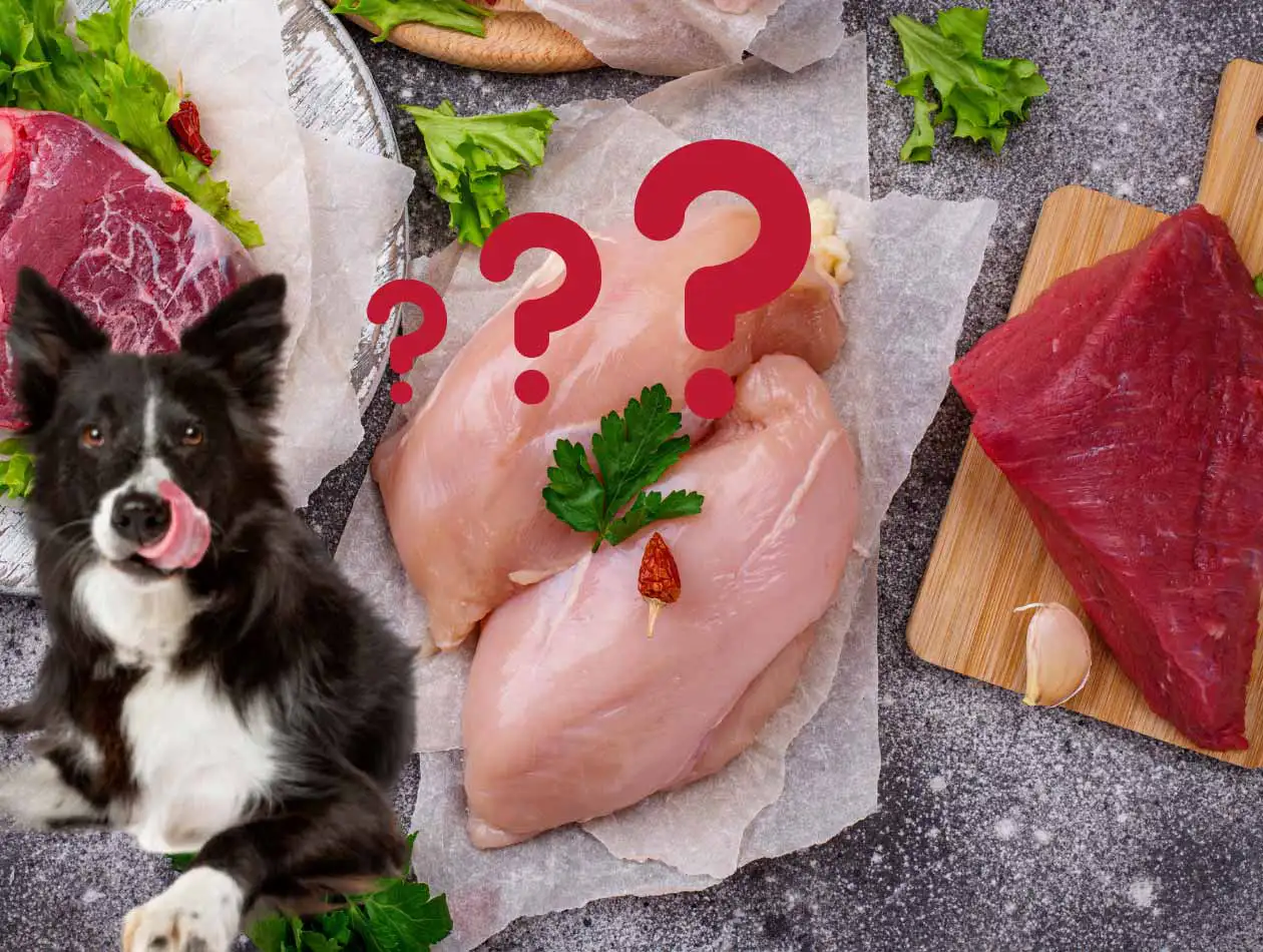 Gesundes Fleisch für Hunde von Graf Barf Rohes Fleisch