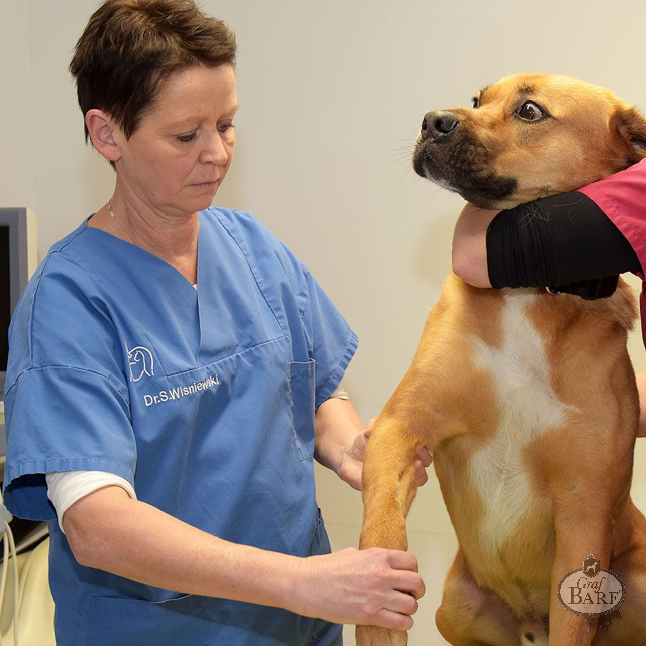 graf-barf-vorsorge-besser-als-heilen Vorsorge beim Hund: Wie kann ich Gelenke & Co. gesund zu halten?