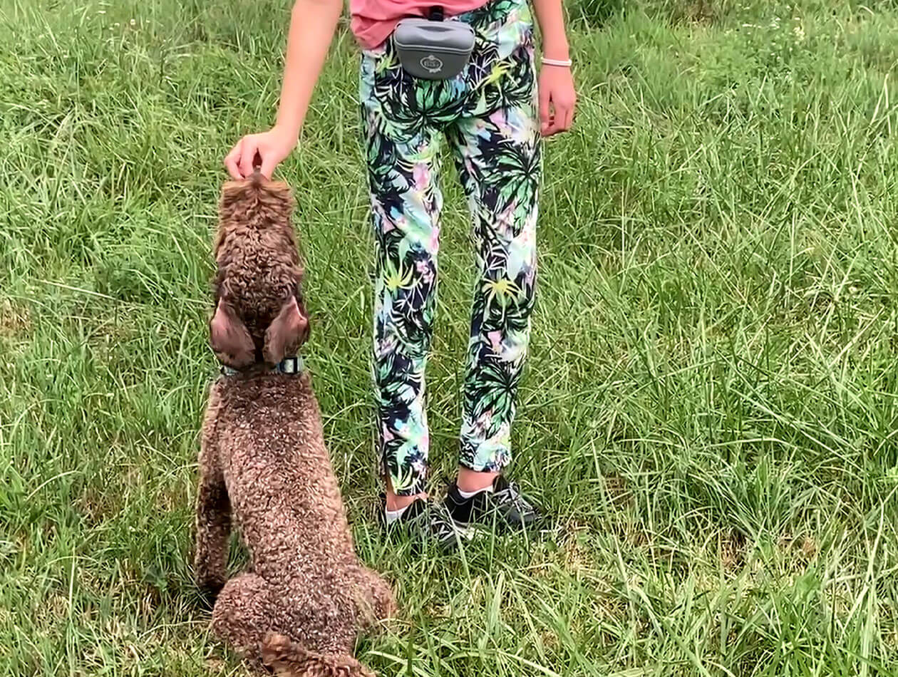 Graf Barf Snacktasche Frau mit Snacktasche fütter ihren Hund