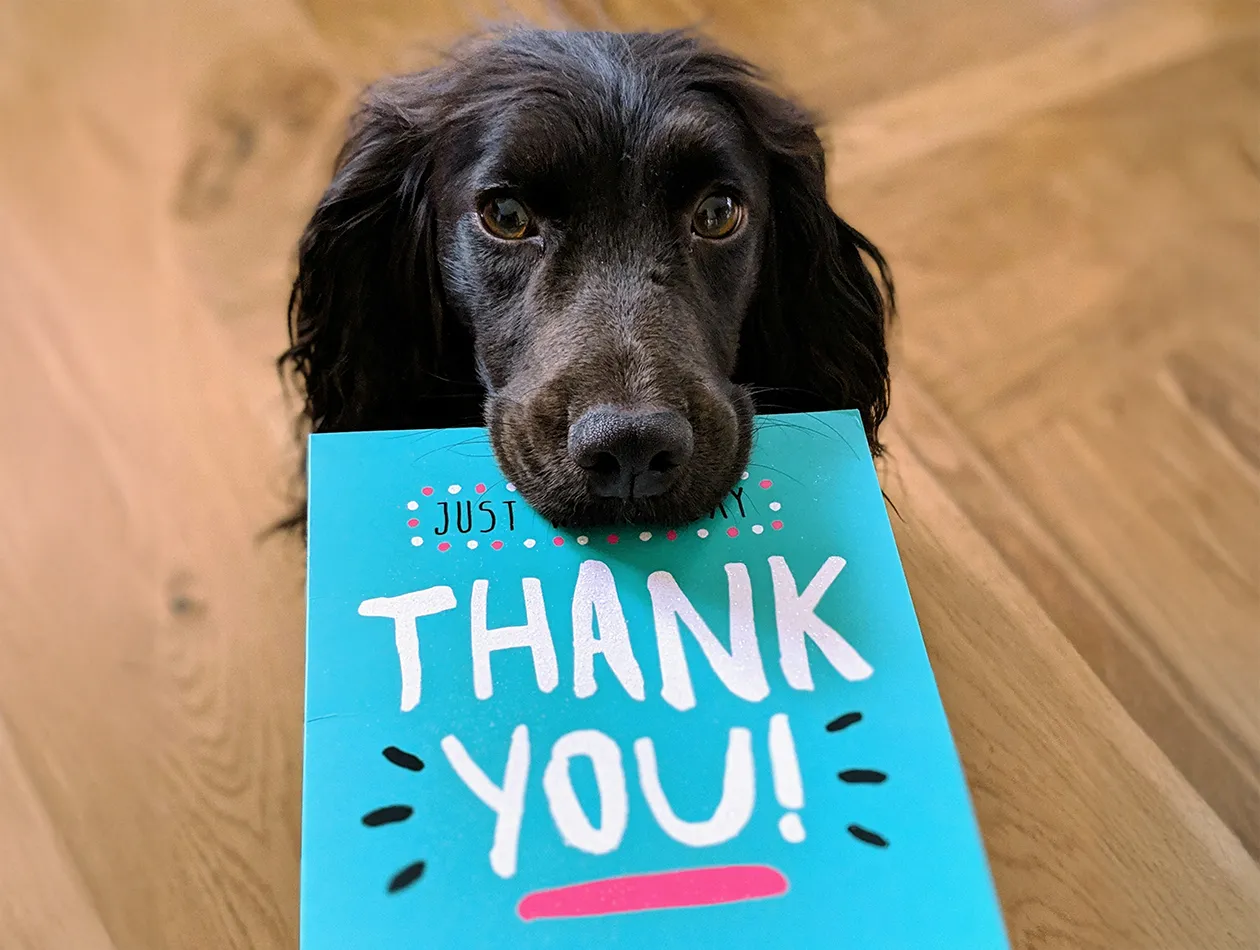 Danke Hund mit Dankeskarte im Mund