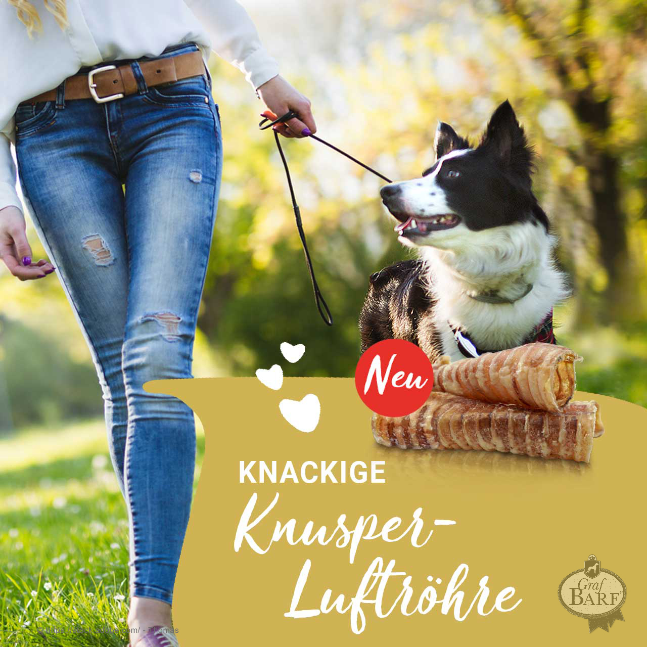 graf-barf-knusper-luftroehre Knabberspaß von Graf Barf: Knusper-Luftröhre vom Rind