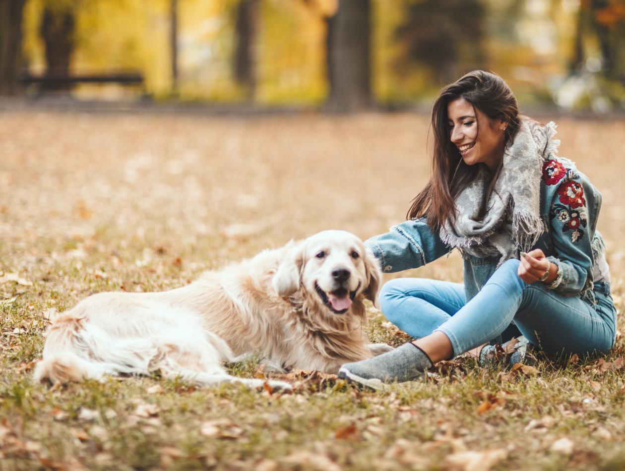 Stress bei Hunden erkennen und reduzieren: Tipps für den Alltag Stress bei Hunden erkennen und reduzieren: Tipps für den Alltag
