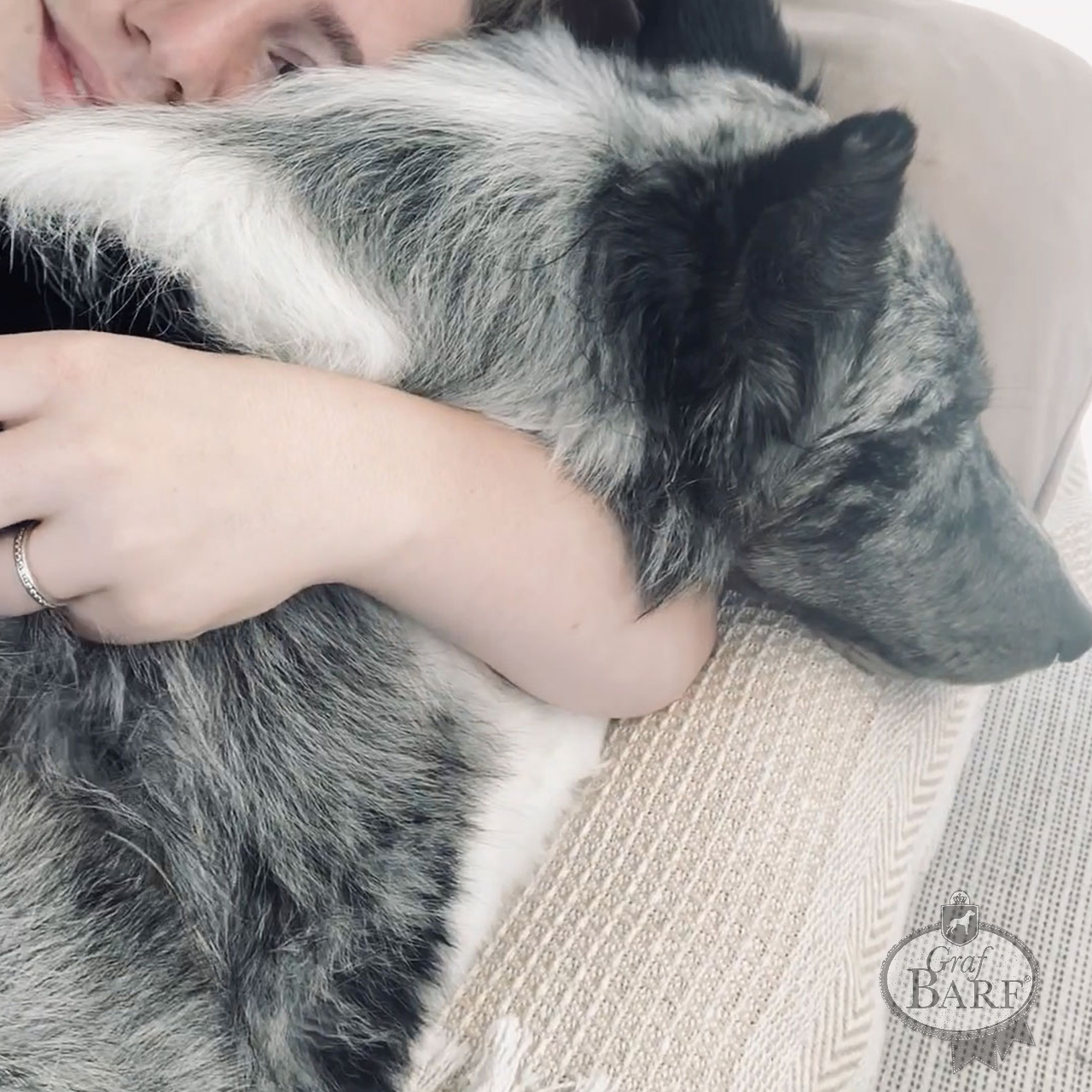 graf-barf-hund-und-liebe Hundeliebe durch Raum und Verständnis: Eine engere Bindung aufbauen