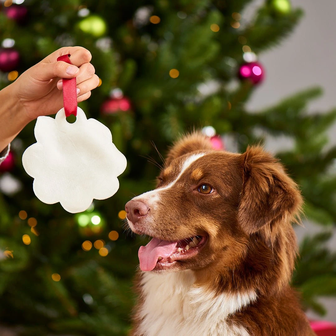Graf BARF von Nutriment Lebkuchen fuer Hunde